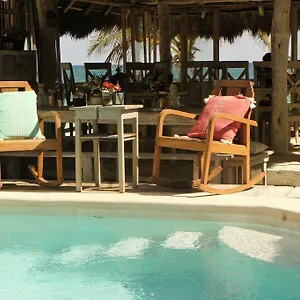 punta-piedra-beach-posada.allrivieramayahotels.com/